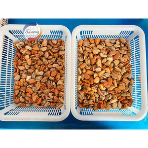 <span class=keywords><strong>Precio</strong></span> al por Mayor de Carne de Mejillón Verde Cocida Congelada, Suministro a Granel para Exportación - Product Image 4