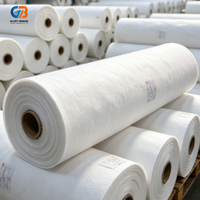 Tissu géotextile non tissé robuste 110 g/m² à bas prix en fibres coupées pour la construction routière, le drainage, la filtration et la séparation des sols