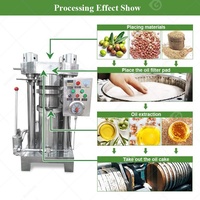Prensa Hidráulica para Extracción de Aceite en Frío de Moringa, Oliva, Cacao y Girasol