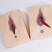 Simulador de Sutura de Episiotomía, Modelos de Vulva para Práctica de Sutura, Simulador de Entrenamiento de Sutura Vulvar, Modelo Anatómico de Vulva para Enseñanza Médica
