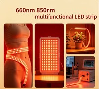 Bande lumineuse LED COB à basse tension DC 5V, série 5050 personnalisée, 650 nm, 850 nm, pour la thérapie esthétique et l'éclairage de culture de plantes.