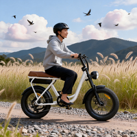 Vélo de montagne électrique à pneus larges de 20 pouces, batterie au lithium 48V sans balais, frein à disque, moteur à moyeu arrière, cadre en acier