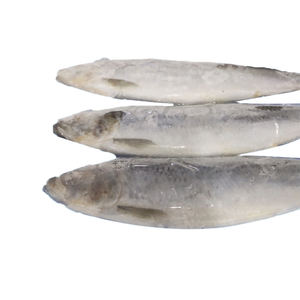 냉동 청어(클루페아 팔라시) 프리미엄 IQF 통째로 요리 가공 식품 서비스용 전 세계 수요 높음 - Product Image 1