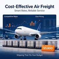 Service de fret aérien mondial, expédition aérienne rapide porte-à-porte pour le commerce électronique transfrontalier dans le monde entier