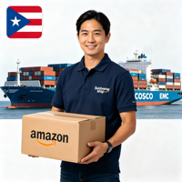 Transitaire professionnel Chine-Puerto Rico, agent d'expédition DDP porte-à-porte avec les meilleurs tarifs
