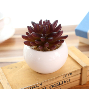 Miniplantas suculentas artificiales surtidos, con macetas para decoración del hogar, planta de aloe <span class=keywords><strong>vera</strong></span> artificial para interior, <span class=keywords><strong>en</strong></span> macetas de cerámica - Product Image 6