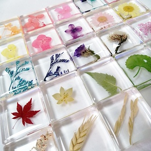 Flor seca real en bloque de resina Artesanía de resina Espécimen de planta colorida epoxi para la decoración del hogar de la Mesa - Product Image 1