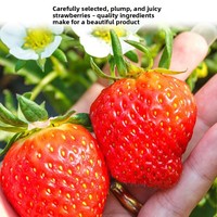 Gefreeze-droogde aardbeienkorrels gesneden, voor taartdecoratie, fruitthee, sneeuwvlokjes, ingrediënten, 100g/zak, China 365