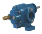 Made In Italy Volumetric Bare Shaft Gear Pump Model B Feet Transferring Lubricant Liquids Cast Iron 9 1 Cm3/rev