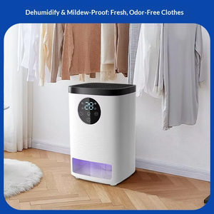 Nuovo Deumidificatore Portatile a Semiconduttore per Casa, Asciugatore d'Aria per Camera da Letto, Assorbitore di Umidità, Estrattore di Condensa Silenzioso a Basso Rumore - Product Image 3