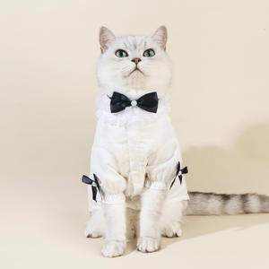 नई शैली छोटी आंटी विंड शर्ट + धनुष सेट पालतू बिल्ली कुत्ते खरगोश कपड़े फीता शर्ट शर्ट - Product Image 6