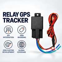 Traceur GPS BDS RelayGPS, coupure à distance du carburant et de l'alimentation, suivi en temps réel, intégration API, OEM ODM, application gratuite pour flotte de voitures et de motos