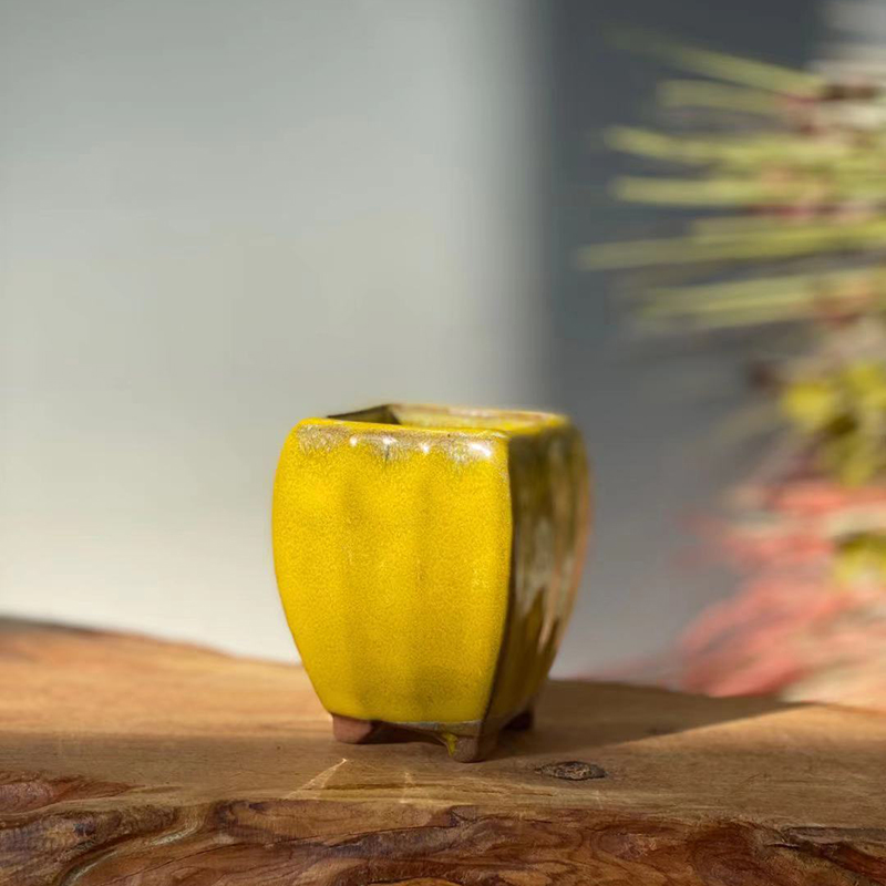 Firework yellow