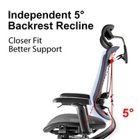 Chaise de bureau ergonomique en maille avec dossier réglable, accoudoirs 5D, appui-tête 3D, certifiée SGS BIFMA, offre des services de stockage et de médias