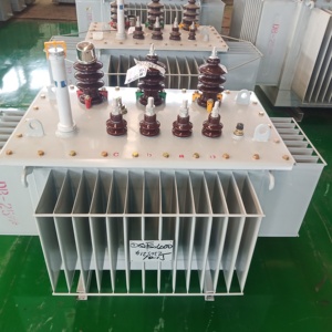 Transformador de Distribución de Energía Trifásico Sumergido en Aceite de 10000 KVA de Alta Eficiencia IEC60076 - Product Image 6