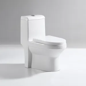 European Standard Water Mark Australian Ceramic Sanitary Ware Washdown Toilet Bathroom Wc Ceramic 1 Piece Toilets