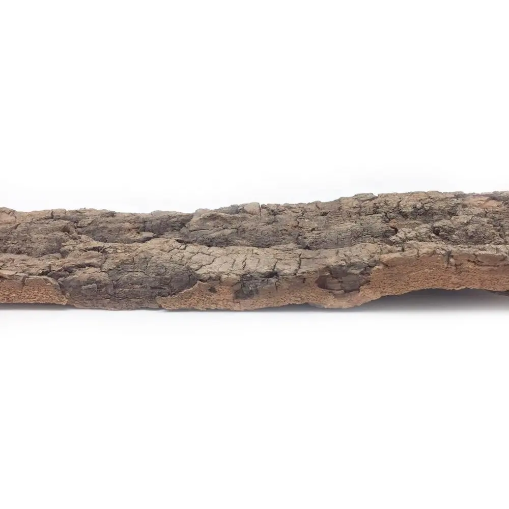 LEECORK Flat Virgin Bark Cork background 10cm width x 30cm length natural cork bark for reptile terrarium