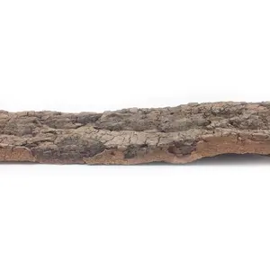 LEECORK Flat Virgin Bark Cork Hintergrund 10cm Breite x 30cm Länge natürliche Kork rinde für Reptilien terrarium