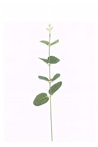 Tallos de Eucalipto de Seda de Alta Calidad para Arreglos Florales, Relleno Decorativo de Vegetación para Ramos de Flores, Hojas Artificiales al por Mayor - Product Image 2