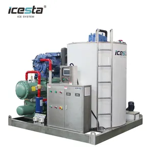 ICESTA personalizzato automatico ad alta produttività risparmio energetico lunga vita di servizio 10t scaglie di ghiaccio evaporatore
