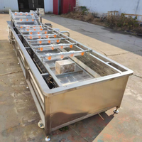 Commerciële industriële wasmachine voor fruit, mango's, groenten, aardappelen, tomaten, wortelen / groentewasser / fruitwasmachine