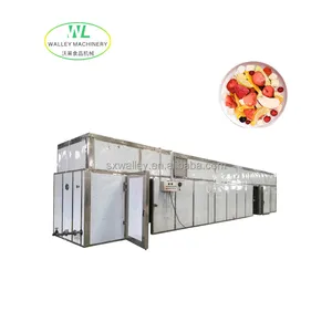 Vente chaude de légumes et de fruits Salle de séchage à air chaud Tunnel Séchoir à pruneaux Machine à sécher Prune Déshydrateur Équipement