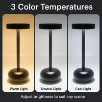 Lampe de table LED sans fil en métal, rechargeable, à intensité variable, lampe de chevet, lampe de bureau portable pour bar, restaurant, hôtel, décoration