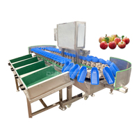 Eenvoudig Bedieningsdienblad Type Appel Citroen Perzik Sinaasappel Kiwi Mango Avocado Fruit Grader Sorteermachine Op Gewicht