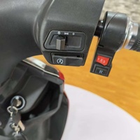 Moto électrique de loisirs urbaine de haute qualité 1200W 60V puissante avec batterie au plomb/lithium