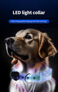 Correa LED luminosa para mascotas con carga USB para exteriores, correa de tracción con revestimiento de goma de PVC, Material impermeable, Collar para perros que caminan con LED, correa para perros - Product Image 4