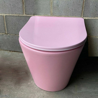 WC mural rose Tornado, cuvette de toilette, WC thérapeutique, cuvette sanitaire, cuvette de toilette pour colonie, cuvette de toilette pour sol, cuvette de toilette pour baignoire, cuvette de toilette en céramique blanche BTW