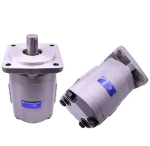 Nueva Bomba de Aceite para Engranajes HCHC Original CBG2080/2032-BFPL Z2100-BLP 2063-BFHL Z/TCX-BLH - Product Image 3