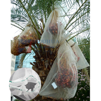 Witte Vlieg Tomaat Plant 50X50 Mesh Anti Tuin Tunnel Agrarische Insectengaas Voor Tuin Groenten Fruit Dadels