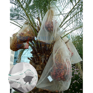 <span class=keywords><strong>Mouche</strong></span> blanche tomate plante 50X50 maille <span class=keywords><strong>Anti</strong></span> jardin Tunnel <span class=keywords><strong>agricole</strong></span> insecte filet sacs pour jardin légumes fruits Dates - Product Image 3