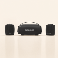 Système de haut-parleurs portable SOWO 2.1 avec haut-parleur central et deux haut-parleurs satellites pour le divertissement à domicile