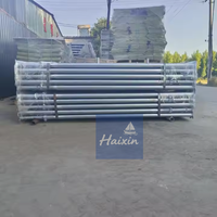 Étais de coffrage télescopiques réglables en acier Q235 pré-galvanisé HXHT pour la construction, capacité personnalisable