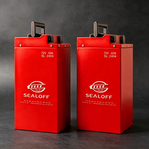 <b>48V</b>/60V/ 72VLithium Ion <b>Battery</b> Pack for Scooter Two Wheel E-bike Rechargeable <b>Battery</b> - Product Image 1
