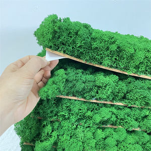 Vente en gros de renne sec naturel, <span class=keywords><strong>panneau</strong></span> mural de mousse verte éternelle préservé, art mural de mousse vivante pour la décoration intérieure, remise des diplômes de la fête des mères - Product Image 1