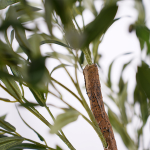 Árvores de Oliveiras Artificiais em Vaso Verde Personalizadas por Atacado, Resistentes a UV, Ecológicas, 155cm para Paisagismo Externo em Casa - Product Image 5