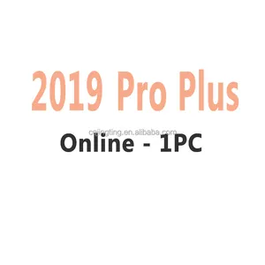 Originalmente 2019 Professional Plus Key Retail 100% Activación en línea 2019 Pro Plus Key 1PC Enviar por Ali Chat Page