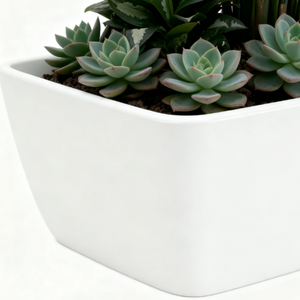 Jardinières en FRP blanches irrégulières - Pots à fleurs robustes en résine et <span class=keywords><strong>fibre</strong></span> <span class=keywords><strong>de</strong></span> <span class=keywords><strong>verre</strong></span> pour la décoration commerciale et domestique - Product Image 6