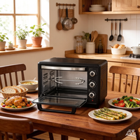 Four à convection écologique de 45 L avec boîtier en aluminium, 2000 W, électrique, pour usage commercial et domestique, rôtissoire à poulet, cuisson