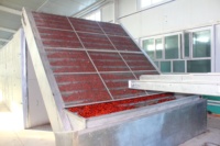 Séchoir à bande maillée pour jujubes séchées et pruneaux, machine industrielle automatique de séchage de fruits contrôlée par PLC pour la transformation alimentaire