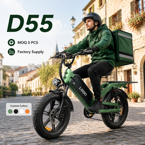 จักรยานไฟฟ้าส่งของ D55 E-MTB 750W 48V55Ah ยางอ้วน 20 นิ้ว ระยะทาง 240 กม. OEM จักรยานบรรทุกสินค้า จักรยานไฟฟ้าวิบาก - Product Image 1