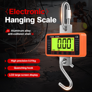 Balance numérique de grue GYS robuste, capacité 500 kg, en acier inoxydable, alimentée par 3 piles AA, plusieurs couleurs, modèle 152E, garantie 1 an, 152E Di - Product Image 4