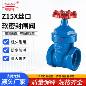 Guangdong Magnesium Special Z15X Threaded Soft Seal Gate Valve Rubber Lining Single Gate Water Use - Product Image 5