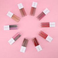 Nouveau design OEM Make up Waterproof Private Label Brillant à lèvres mat Rouge à lèvres liquide