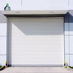 Новая модель алюминиевых роликовых дверей/стальных роликовых затворов для гаражных складов