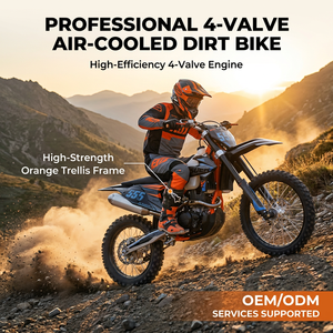 Nouvelle moto tout-terrain BSE X5 TYX300 300cc à refroidissement par air, 4 soupapes, 4 temps, enduro, course hors route, <span class=keywords><strong>motocross</strong></span> OEM - Product Image 2