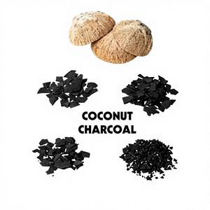 Carbón de Cáscara de Coco de Alta Calidad – Carbón Natural para Barbacoa – Proveedor Mayorista de Fábrica - Product Image 4